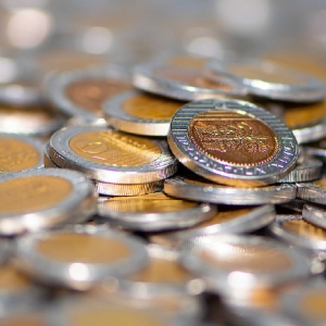 �����Ʊ���ʵĽ��׷���