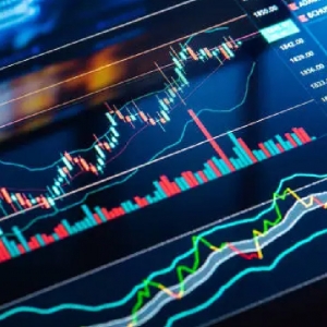 Զ���ڻ���Ȩ����ͬ