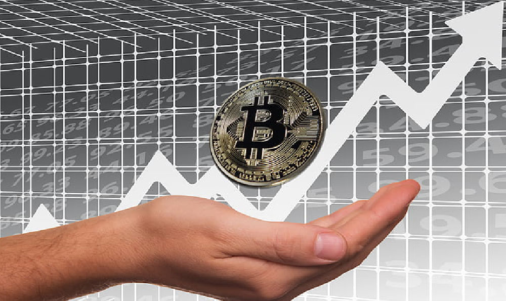 ���ֻ�����������Ʊ����