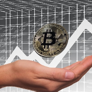 ���ֻ�����������Ʊ����