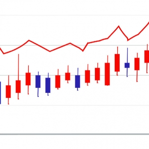 ��Ʊ���ʴ����֤ȯ����