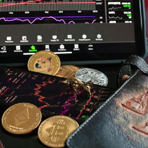 ֤ȯ������������׼